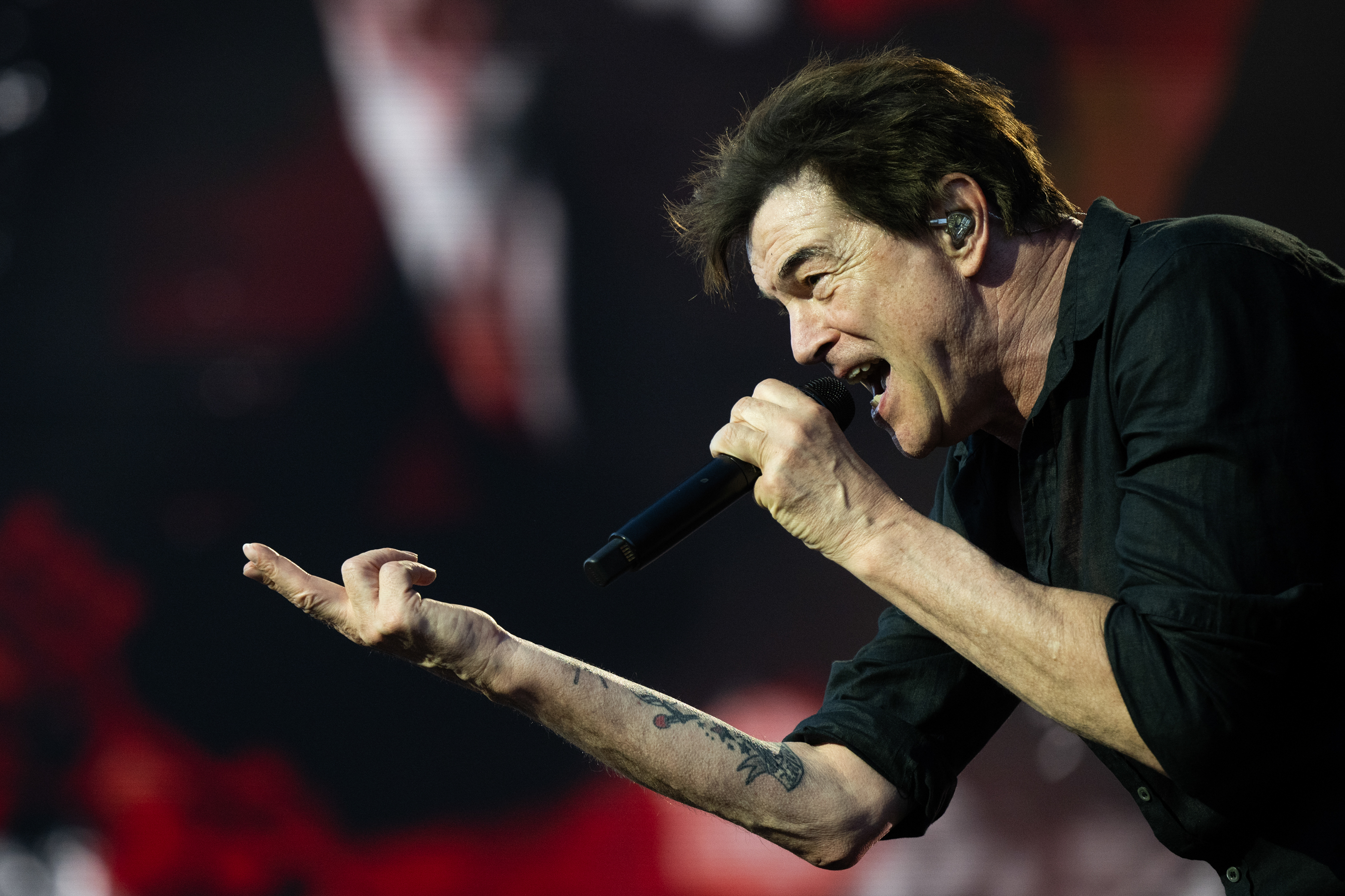 Die Toten Hosen_Foto Reiner Pfisterer_ADS_8199